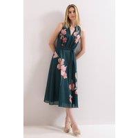 Phase Eight 