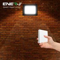 ENER-J 30W LED Floodlight wired with Non Dimmable 5A RF Receiver 1 Gang Dimma in Black