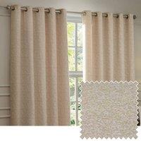 Paoletti Galaxy Velvet Chenille Eyelet Curtain Pair in Nude | Size: 229 cm width x 137 cm drop
