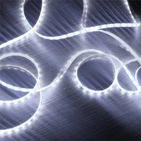 Eagle Cool White Led Tape Light 5M