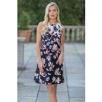 Klass. Women's Floral Print Shift Dress in Black | Size: 20