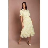 Coast Women's Lace Midi Dress With Bow Belt in Lemon | Size: 10