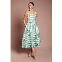 Coast Women's Printed Floral Burnout Organza Midi Dress in Sage | Size: 14