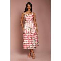 Coast Women's Petite Printed Floral Burnout Organza Midi Dress in Pink | Size: 12