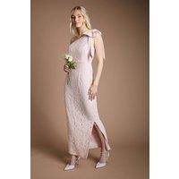 Coast Women's One Shoulder Bow Detail Lace Bridesmaid Dress in Blush | Size: 14