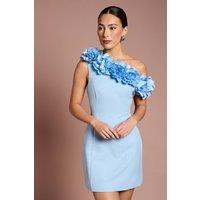 Coast Women's 3D Floral One Shoulder Mini Dress in Blue | Size: 12