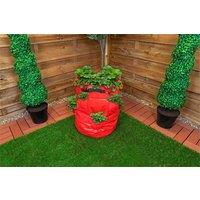 St Helens Home & Garden Strawberry Grow Bag 43L in Red