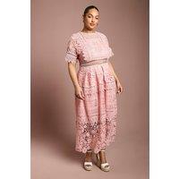 Coast Women's Plus Short Sleeve Lace Midi Dress in Blush | Size: 20