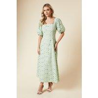Dorothy Perkins Women's Petite DP Luxe Lace Puff Sleeve Midi Dress in Sage | Size: 12