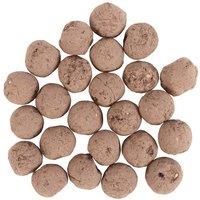 Something Different Plants Flower Seeds (Pack of 24) in Light Sand