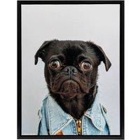 Artery8 Deluvio Pug Puppy Dog In Jacket Framed Canvas Wall Art Print in Light Grey | Size: W24 x H32
