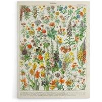 Artery8 Millot Encyclopedia Page Flowers Plants Canvas Wall Art Print | Size: W24 x H32