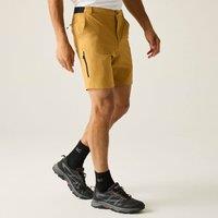 Regatta Men's Anti-Insect Travel Light Shorts in Mustard | Size: 42R