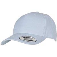 Flexfit Men's YP Classics Premium Cap in Pale Blue