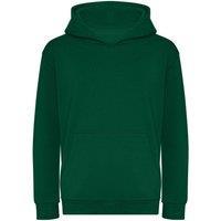 AWDis Hooded Sweatshirt Hoodie in Green | Size: 1-2 Years
