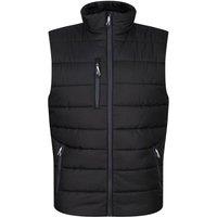Regatta Professional Men's Thermal Body Warmer in Black | Size: 4XL