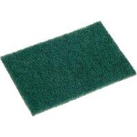 Scotch -Brite Professional General Purpose Scourers 10pk