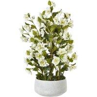 Hill Interiors Hellebore Artificial Potted Plant 41cm x 33cm x 38cm in White | Size: 41 cm x 33 cm x 38 cm