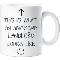 60 SECOND MAKEOVER This Is What An Awesome Landlord Looks Like V2 Mug in White