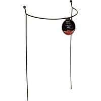 Samuel Alexander 2 Black Metal Steel Herbaceous Garden Plant Support Arc Small 60x36cm | Size: 60x36 cm