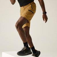 Regatta Men's Leesville III Walking Shorts in Mustard | Size: 32R