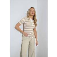 Long Tall Sally Women's Tall Stripe Polo Top in Natural | Size: 18