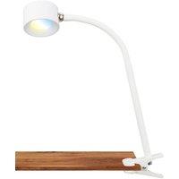BRILONER Rechargeable LED Reading Desk Lamp with Clamp in White
