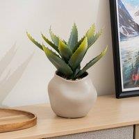 Scottish Everlastings Ltd 30cm Aloe in Ceramic pot in Green