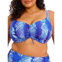 Elomi Women's Maluku Island Crop Bikini Top in Blue | Size: 42F