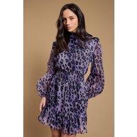 Oasis Women's Organza Shirred Waist Mini Dress in Plum | Size: 14
