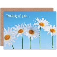 Artery8 Thinking You Daisy Flower Nature Thinking Of You Card