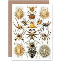 Artery8 Nature Ernst Haeckel Spider Arachnid Biology Germany Greetings Card