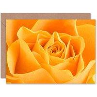 Artery8 Yellow Rose Flower Macro Photograph Nature Floral Card