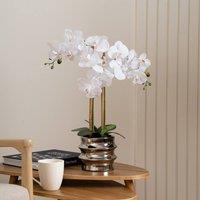 Scottish Everlastings Ltd 54cm White Orchid in Silver Ceramic Pot