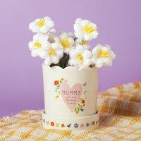 Love Life Sentiment Gift Plant Pot - Mummy | Size: Small