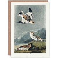 Artery8 John James Audubon Art Card Birds of America Snow Bunting in Grey