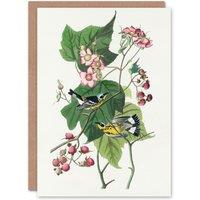 Artery8 John James Audubon Art Card Black & Yellow Warblers in White