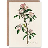 Artery8 John James Audubon Art Card Cuviers Kinglet Bird & Mountain Laurel in White
