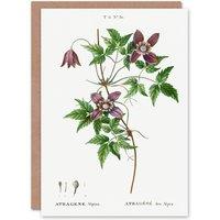 Artery8 Pierre-Joseph Redout Art Card Alpine Clematis Flower in White