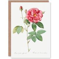 Artery8 Pierre-Joseph Redout Art Card Vintage French Rose Illustration in White