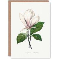 Artery8 Pierre-Joseph Redout Art Card Saucer Magnolia Flower in White