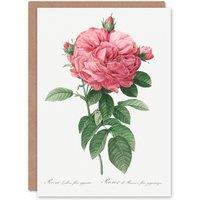 Artery8 Pierre-Joseph Redout Art Card Giant Gallica Rose Vintage Floral in White