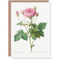 Artery8 Pierre-Joseph Redout Art Card Gallic Rose Vintage Flower Illustration in White
