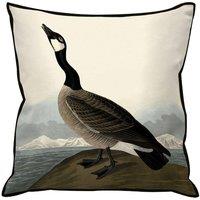 John James Audubon Hutchin Barnacle Goose Filled Cushion in Black