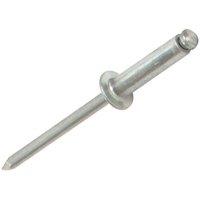 Arrow Aluminium Rivets in Silver