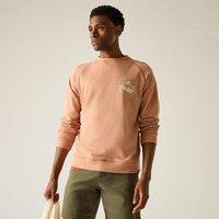Regatta Men's Nithsdale Printed Crew Neck Sweatshirt in Terracotta | Size: 2XL