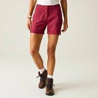 Dare 2b Women's Melodic III Stretch Walking Shorts in Burgundy | Size: 16