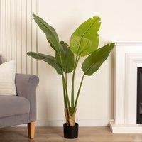 Scottish Everlastings Ltd 120cm Real Touch Banana Tree in Green