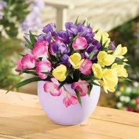 Gainsborough Set of 3 Artificial Crocus Picks, Yellow, Pink & Purple