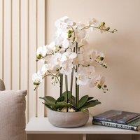 Scottish Everlastings Ltd 68cm Real Touch 10-stem Orchid in Grey Ceramic Pot in White
